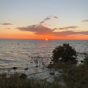 Meet your Posher, Paul